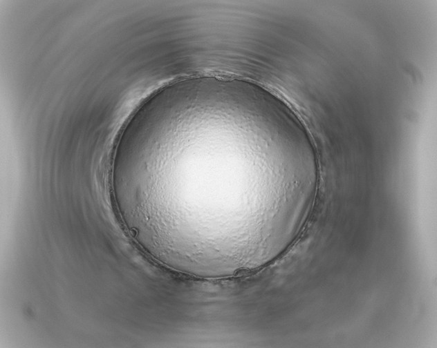 X0000115150241200911101735