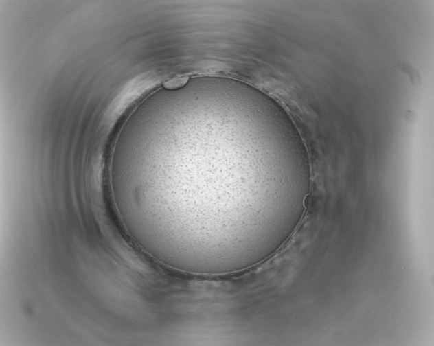 X0000115150242200911101735
