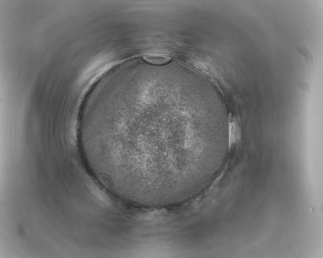 X0000115150243200911101735