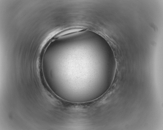 X0000115150244200911101735