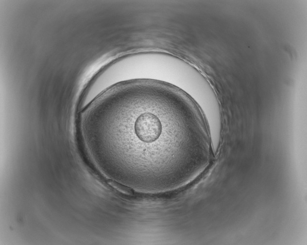 X0000115150248200911101735