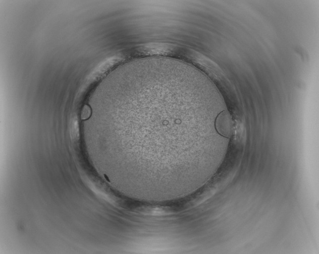 X0000115150254200911101735