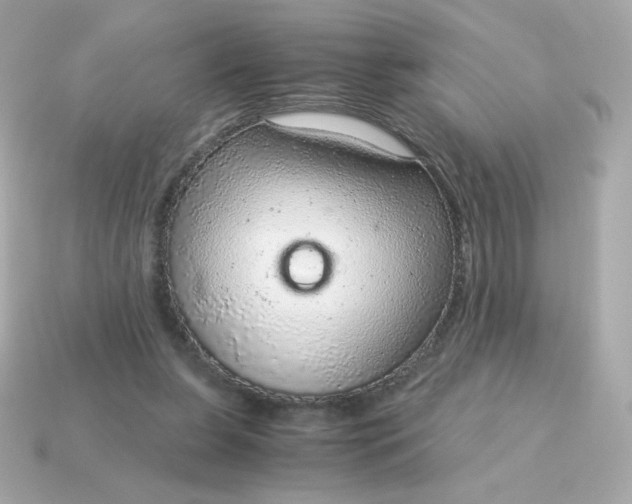 X0000115150255200911101735