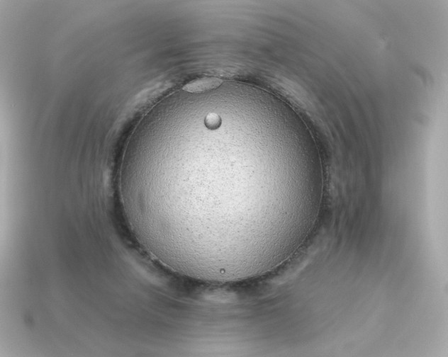 X0000115150258200911101735