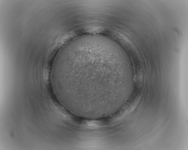 X0000115150268200911101735