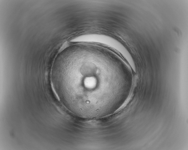 X0000115150269200911101735