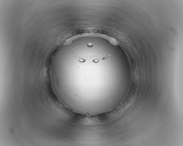 X0000115150270200911101735