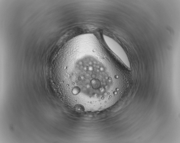 X0000115150274200911101735