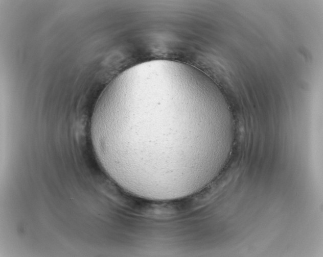 X0000115150275200911101735