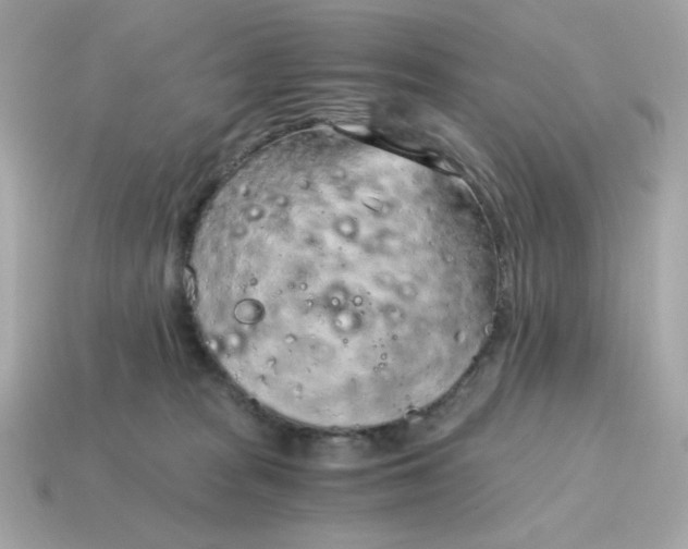X0000115150277200911101735