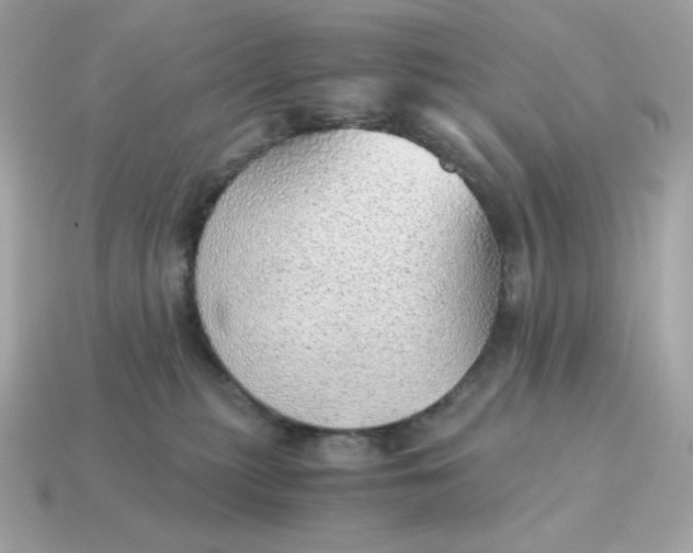X0000115150279200911101735