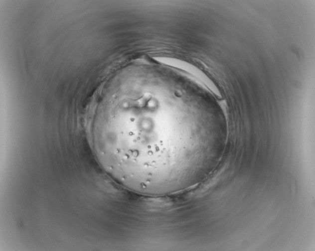 X0000115150281200911101735