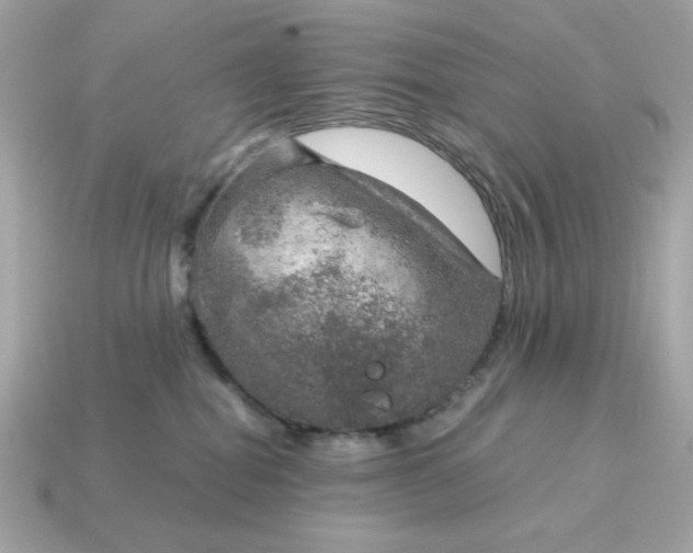 X0000115150282200911101735