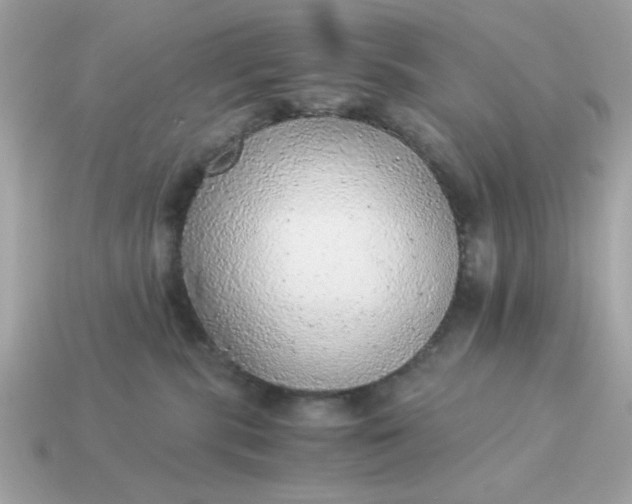 X0000115150283200911101735