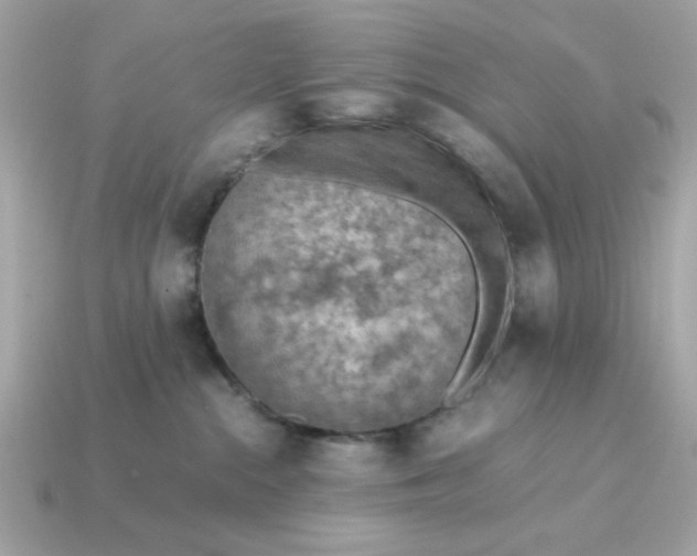 X0000115150284200911101735