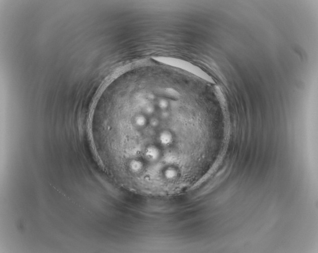 X0000115150285200911101735