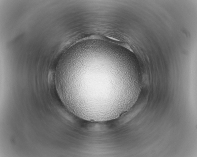 X0000115150286200911101735