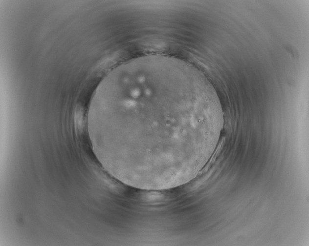X0000115150287200911101735