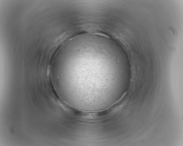 X0000115150288200911101735