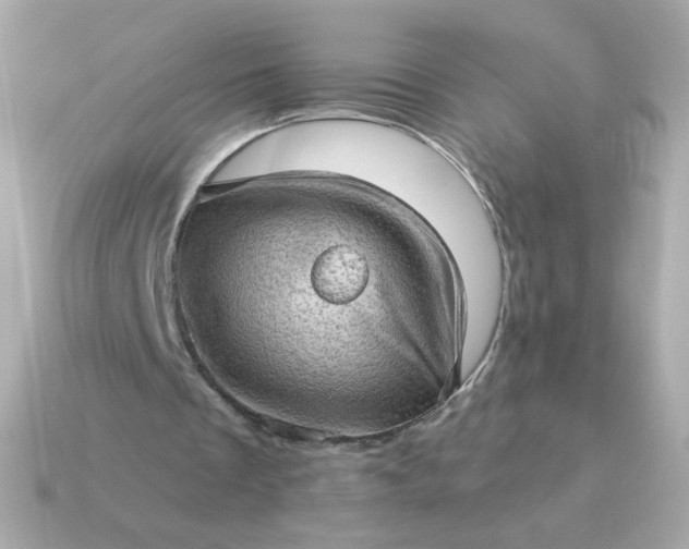 X0000115150289200911101735