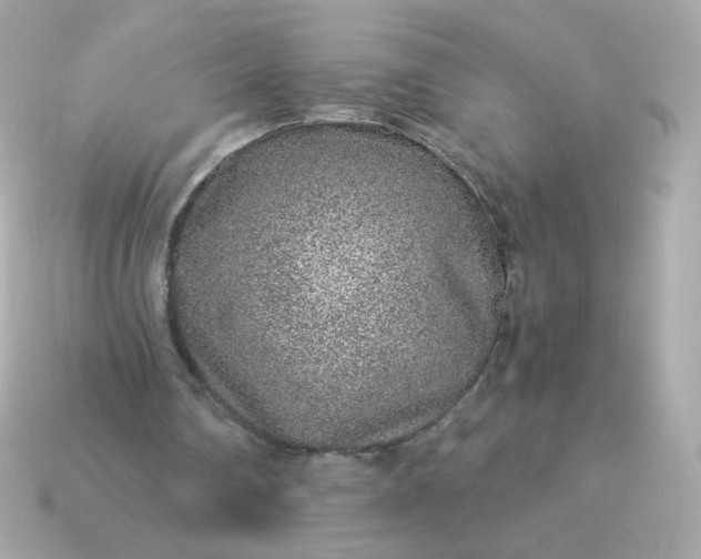 X0000115150290200911101735