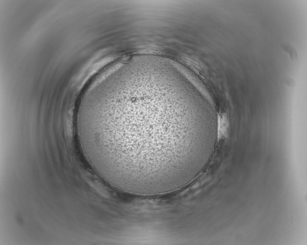 X0000115150291200911101735