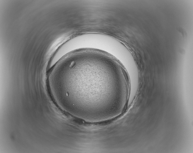 X0000115150293200911101735