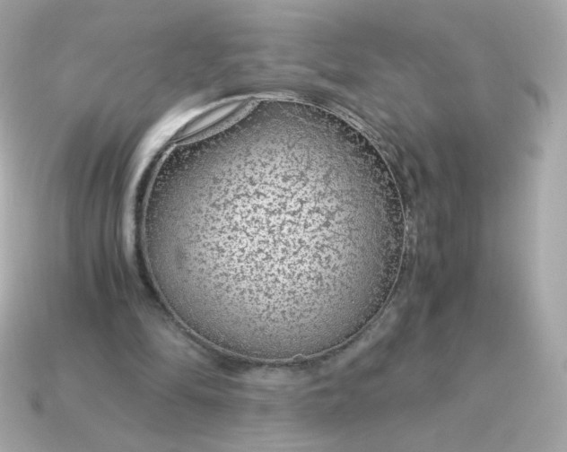 X0000115150294200911101735