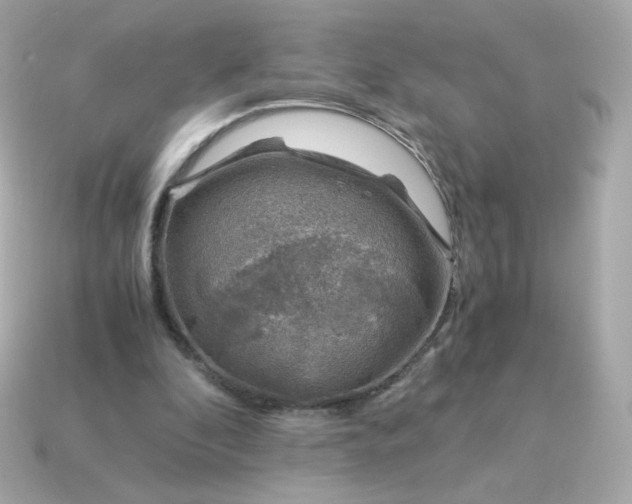 X0000115150296200911101735