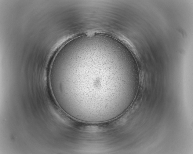 X0000115150298200911101734