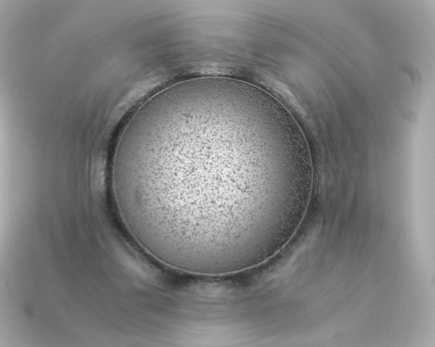 X0000115150299200911101734
