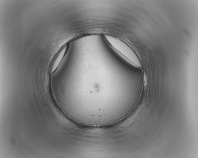 X0000115150301200911101734
