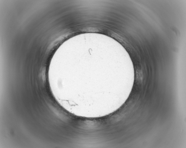 X0000115150302200911101734