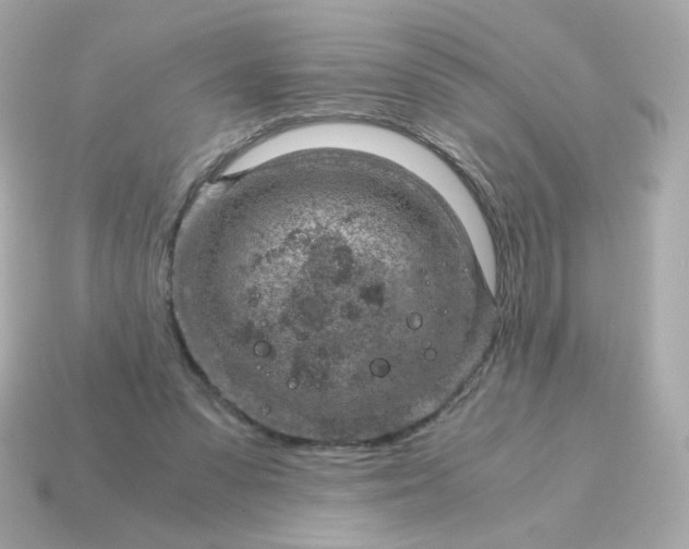 X0000115150303200911101734