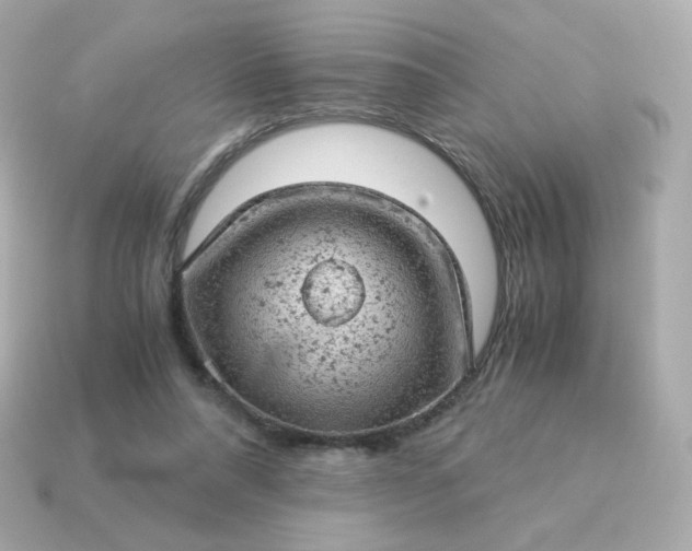 X0000115150304200911101734