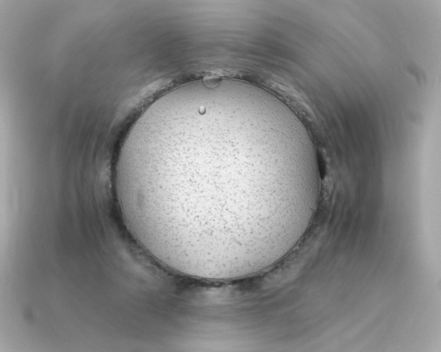X0000115150306200911101734