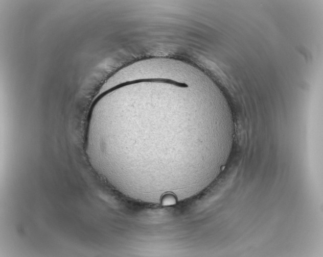 X0000115150307200911101734