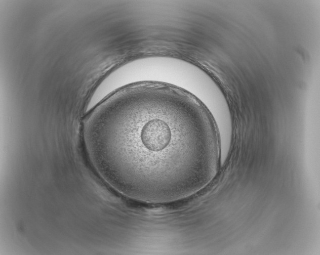 X0000115150309200911101734
