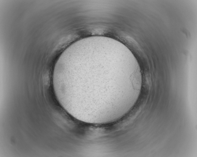 X0000115150311200911101734