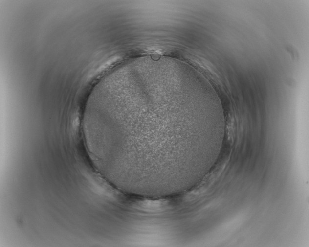 X0000115150314200911101734