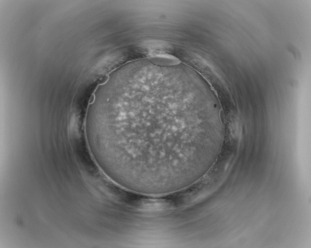 X0000115150316200911101734