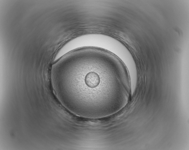 X0000115150317200911101734