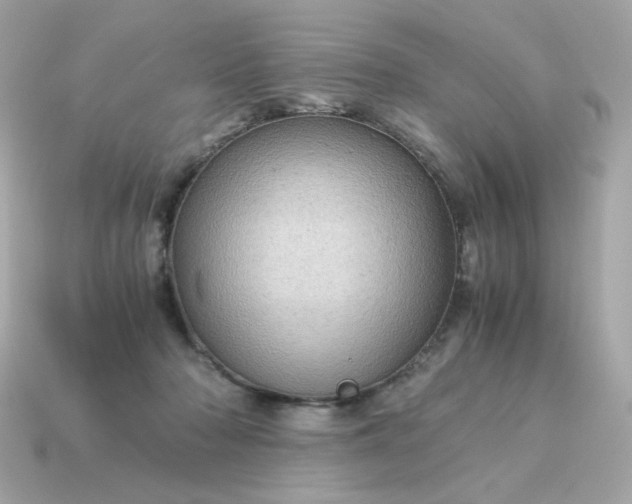 X0000115150318200911101734