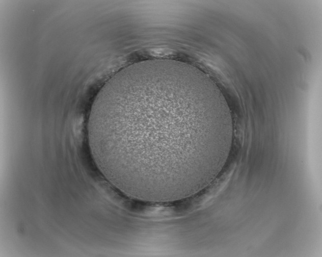 X0000115150319200911101734