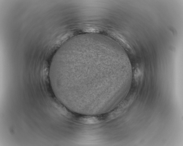 X0000115150322200911101734