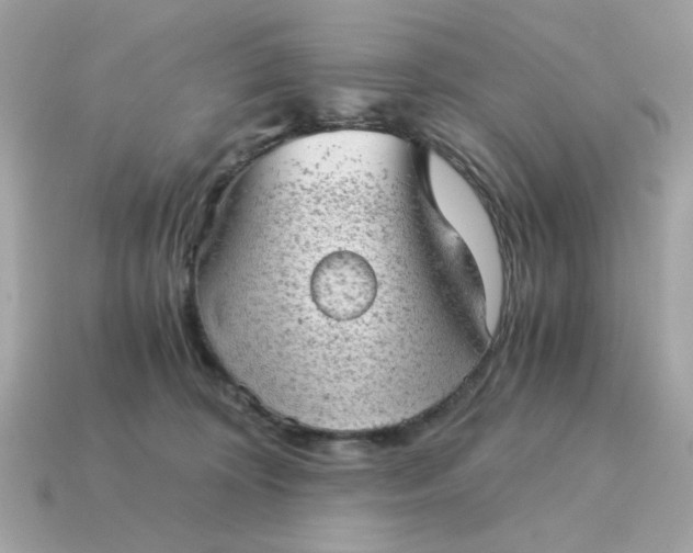 X0000115150324200911101734