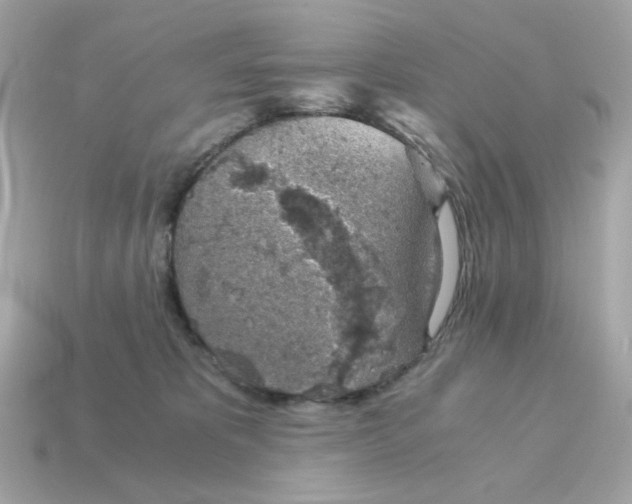 X0000115150325200911101734