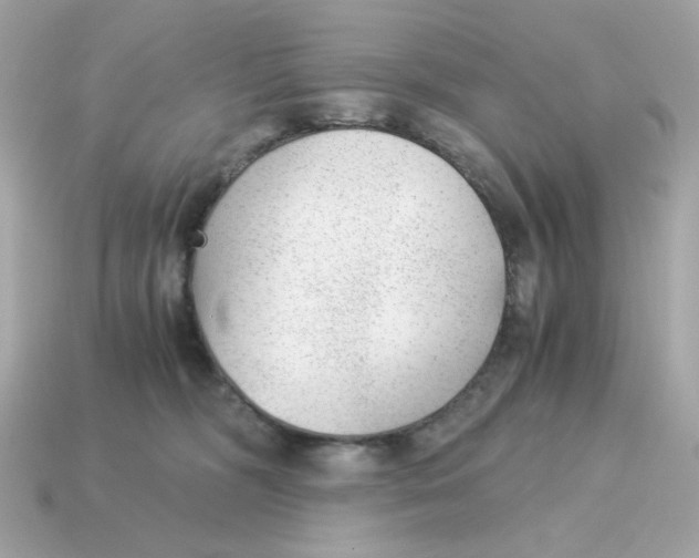 X0000115150326200911101734