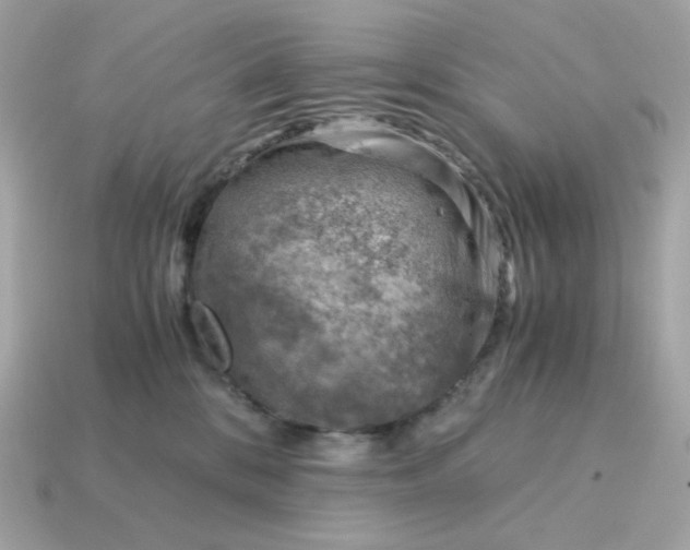 X0000115150328200911101734