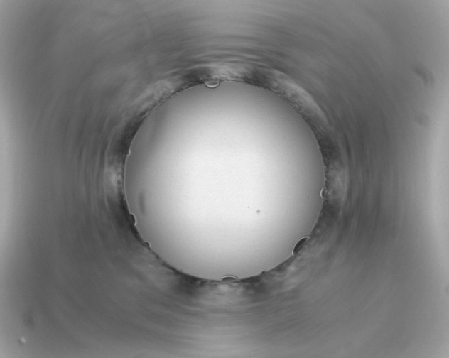 X0000115150329200911101734